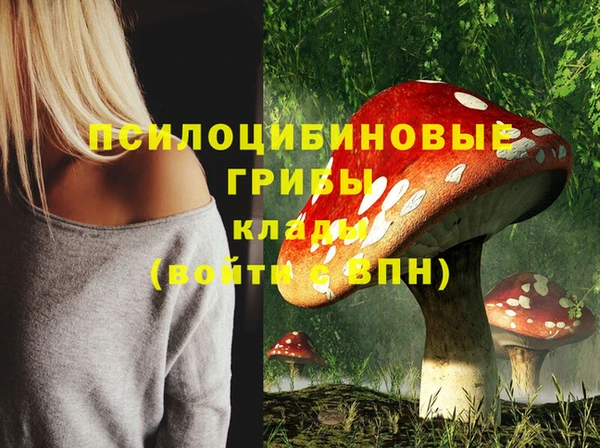 тгк Ельня