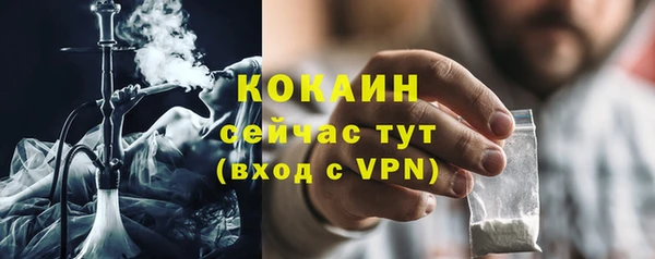 тгк Ельня