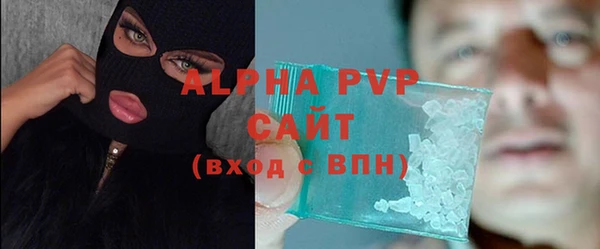 тгк Ельня