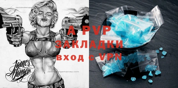 тгк Ельня
