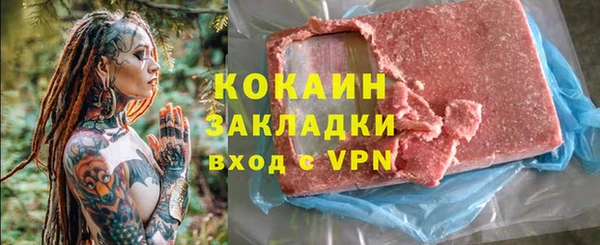 тгк Ельня