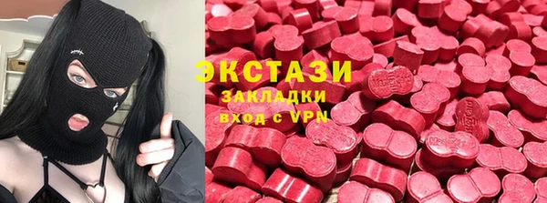 тгк Ельня