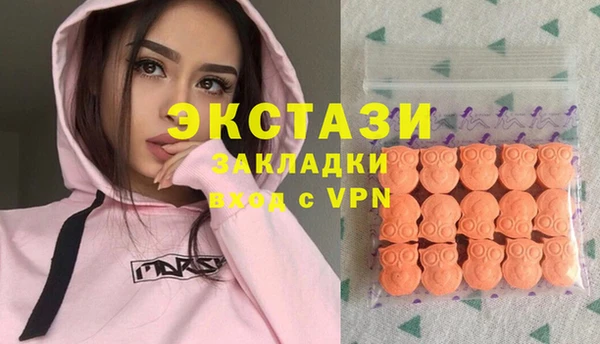 тгк Ельня