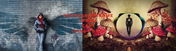 тгк Ельня