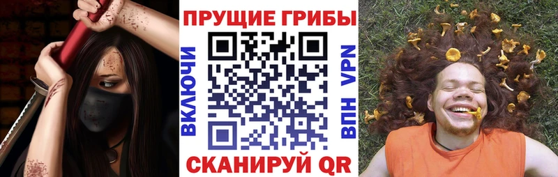 Галлюциногенные грибы GOLDEN TEACHER  Купить где  Кирсанов 